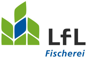 Logo_Ifi